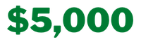 $5,000